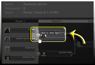 How do I view information for individual Tournament Matches?